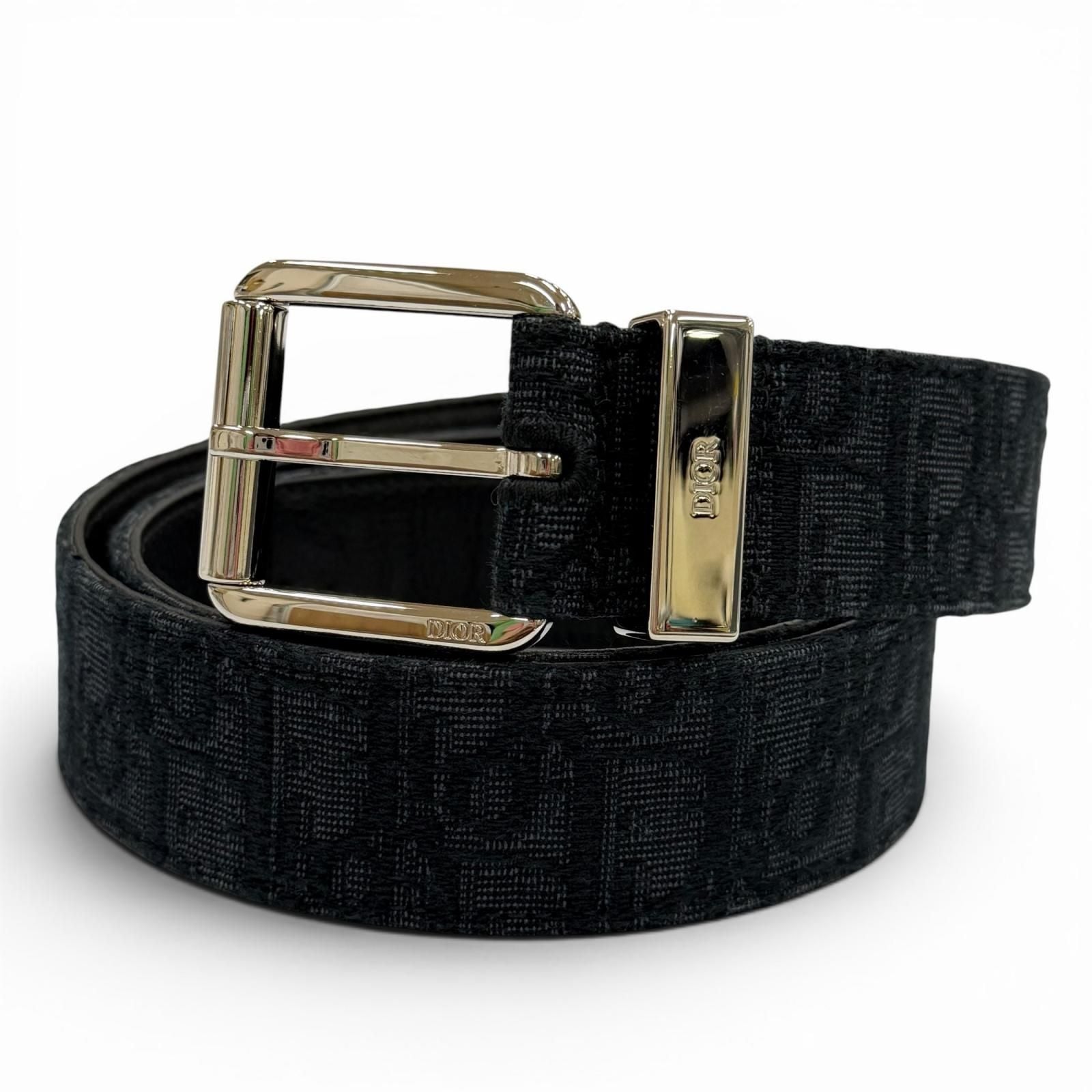 Dior Homme Canvas Leather Oblique Pin Buckle Belt Black Silver