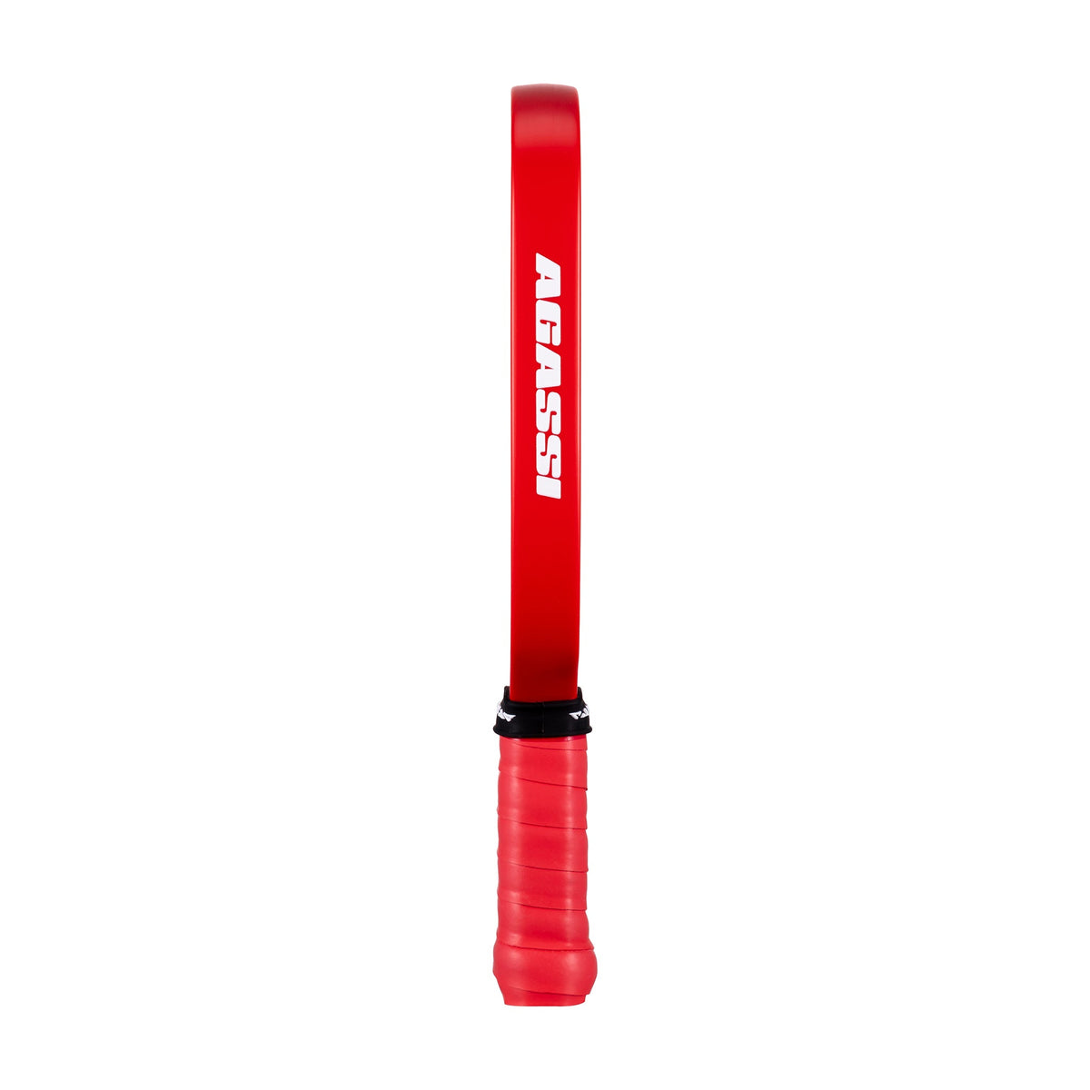 JOOLA Pro IV Mini-Paddle