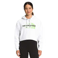 The North Face Womens Coordinates Recycled Hoodie