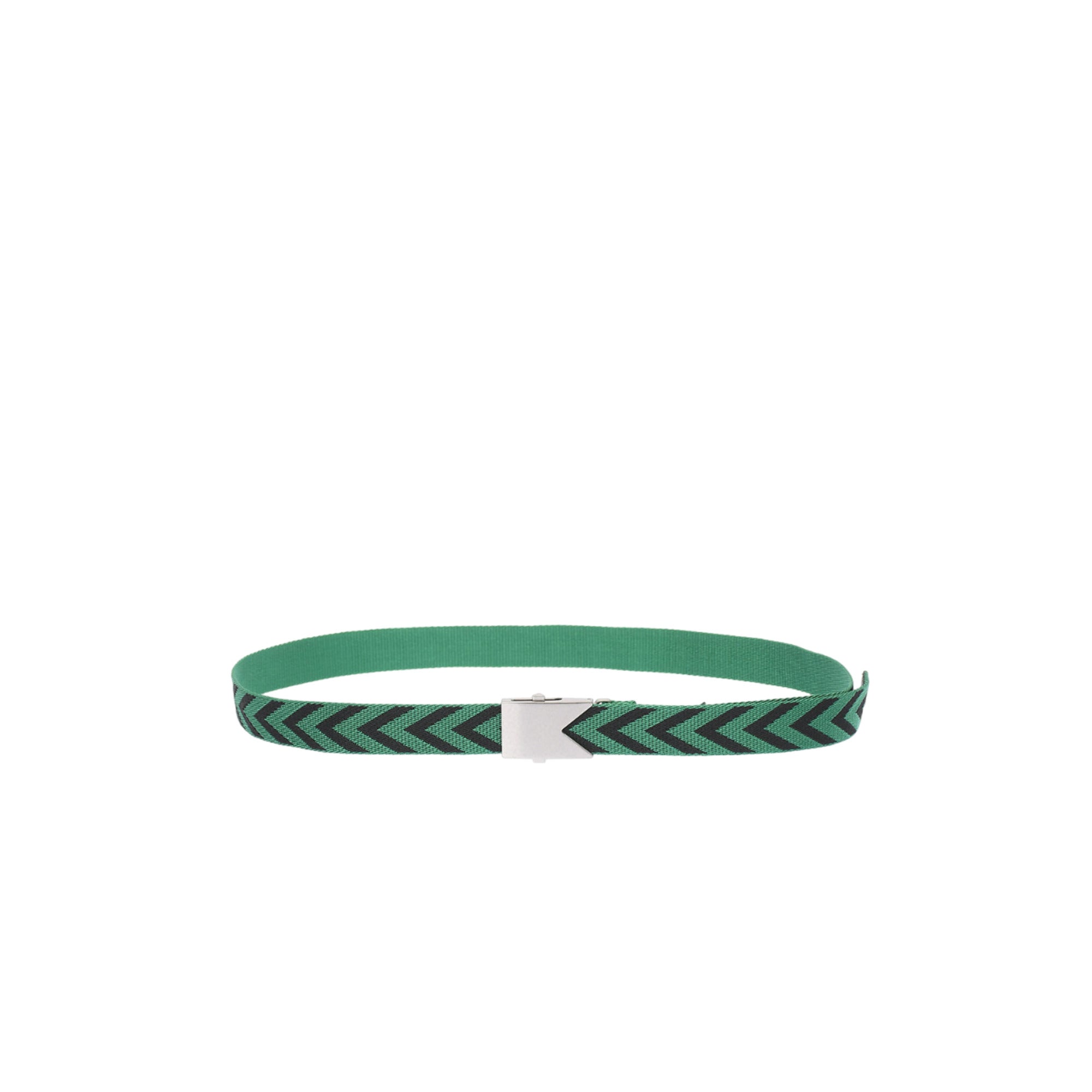 Bottega Veneta Polyester Belt in Green/Black