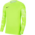 Nike Dri-FIT Park IV Goalkeeper Big Kids' Soccer Jersey