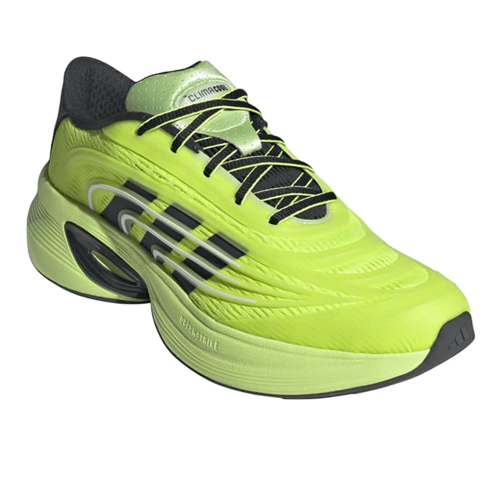 Climacool SPW Lace Up Sneakers