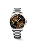 HYDROCONQUEST GMT 41 MM Brown*