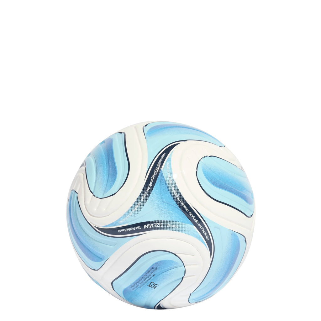 AFA Argentina Home Mini Ball