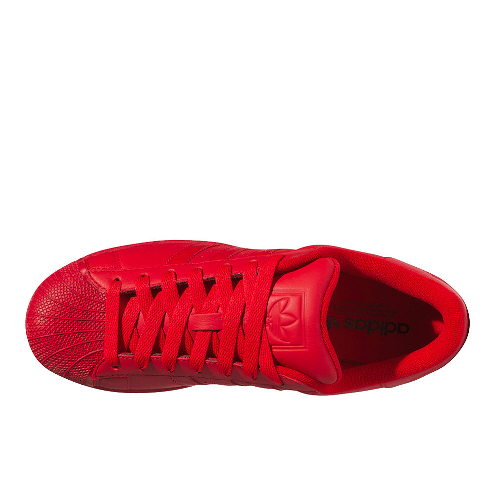 Superstar II Lace Up Sneakers