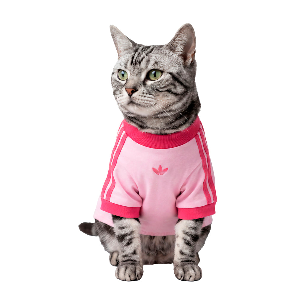 Pet Cali Tee