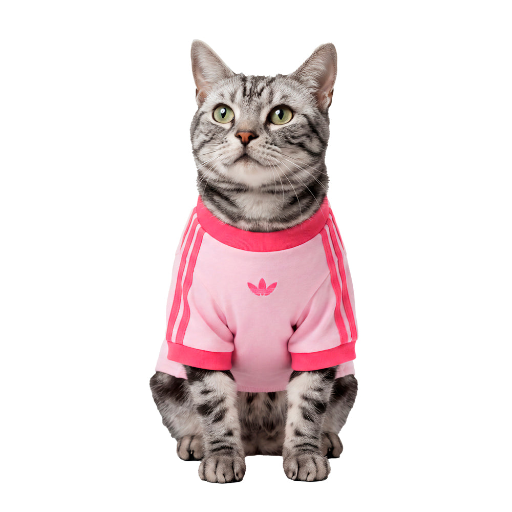 Pet Cali Tee