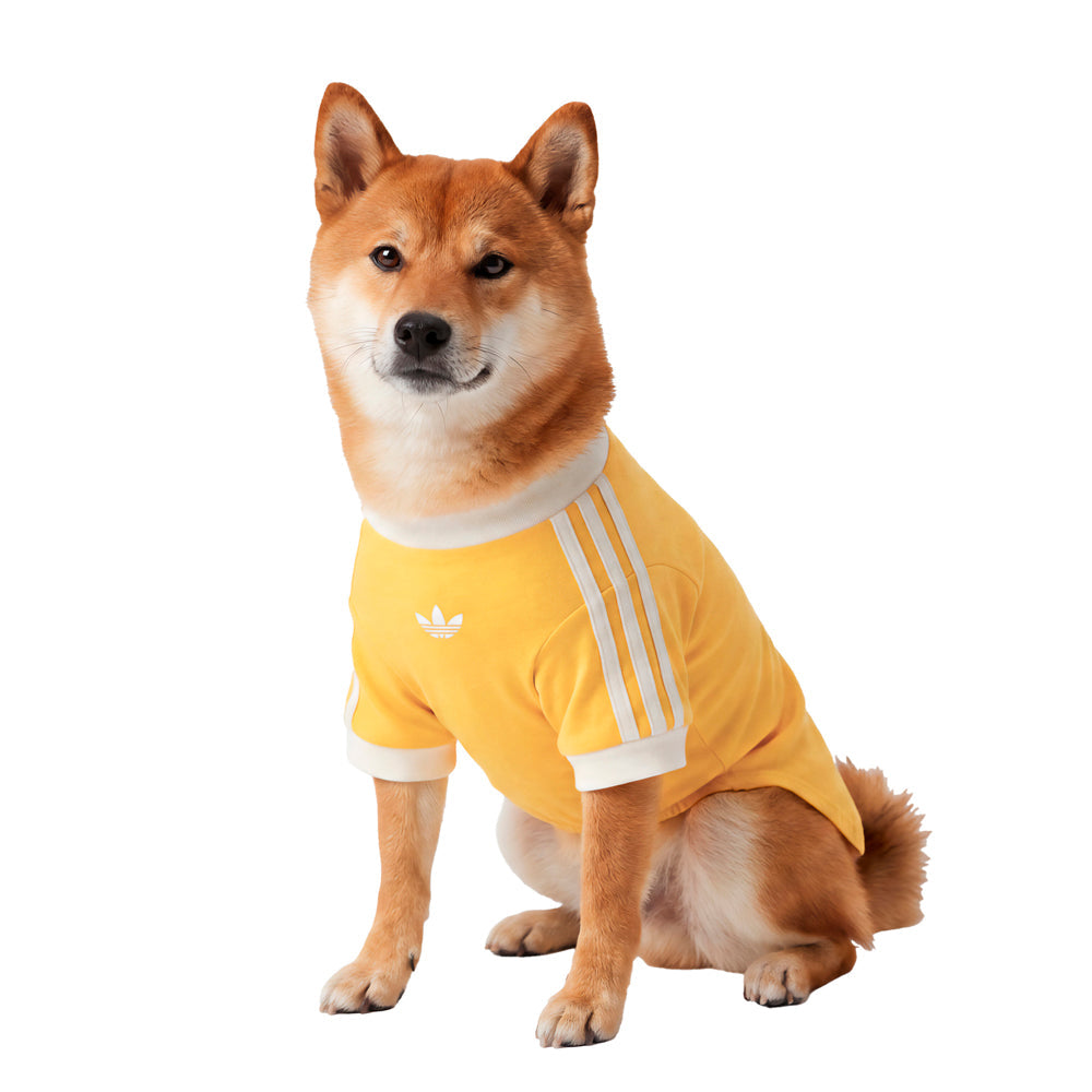 Pet Cali Tee
