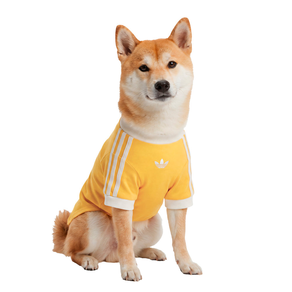Pet Cali Tee
