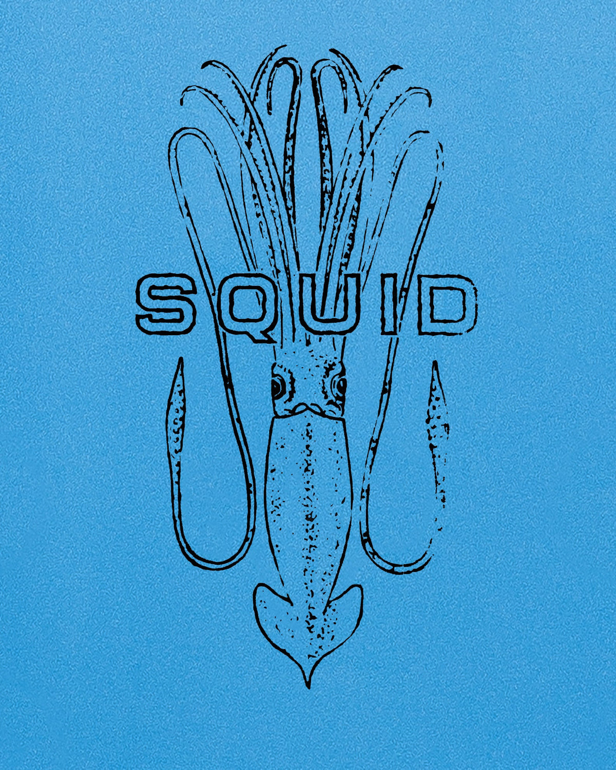 SQUID 6'0 - Blue/White