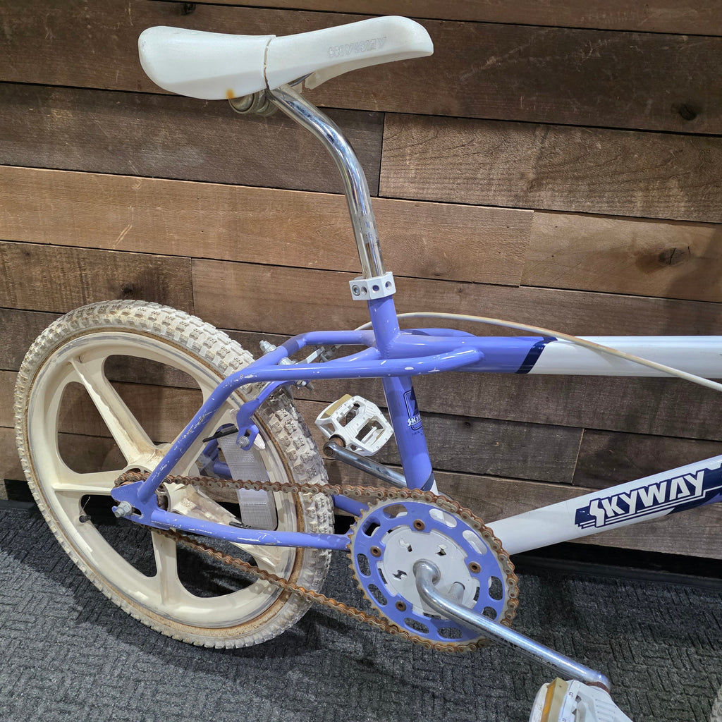 1987 Skyway Street Beat Survivor